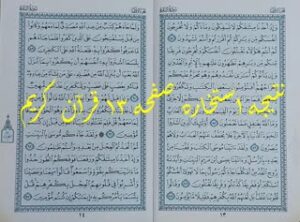 نتیجه استخاره آنلاین صفحه 13