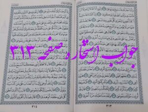 پاسخ استخاره ص 313 قران
